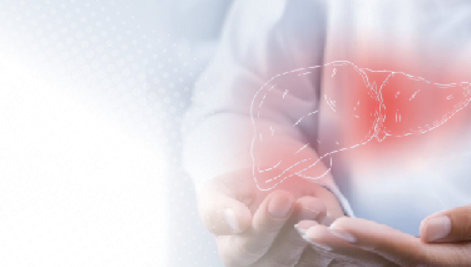 Seminario Desafíos en la Salud Hepática